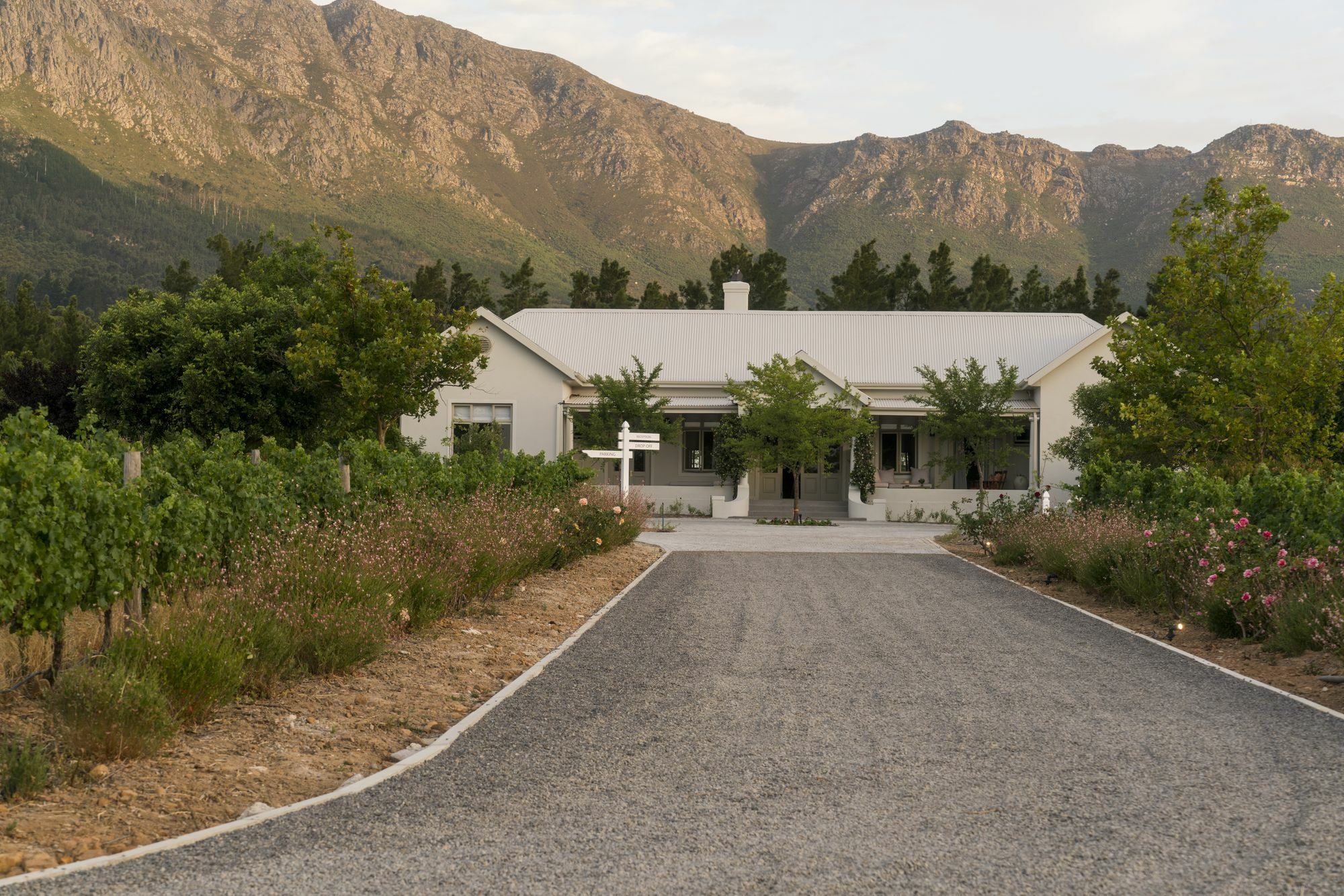 Cape Vue Country House Hotel Franschhoek Exterior foto